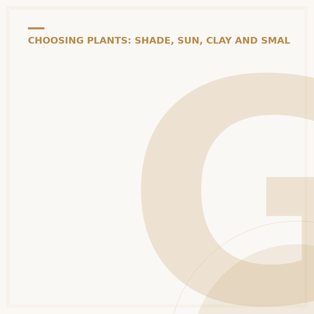 Ground Cover Plants: Stylish & Low-Maintenance Options