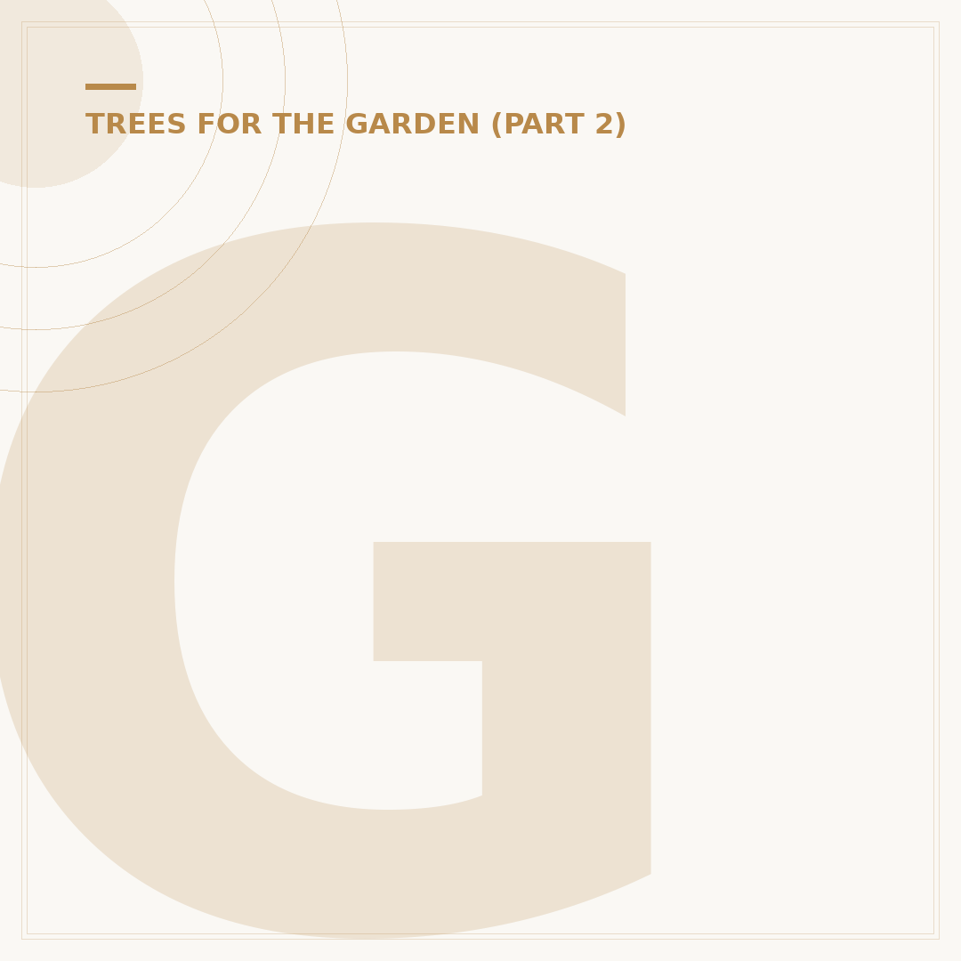 Grow Acers From Seed: Your Starter Plan