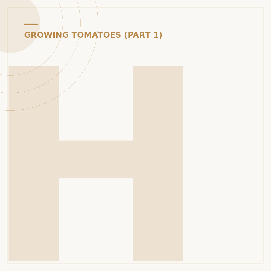 How to Grow Tomatoes in Pots: Achieving a Bountiful Harvest