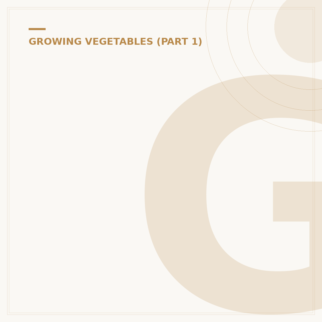 Growing Broccoli: Cultivating Healthy Brassicas at Home