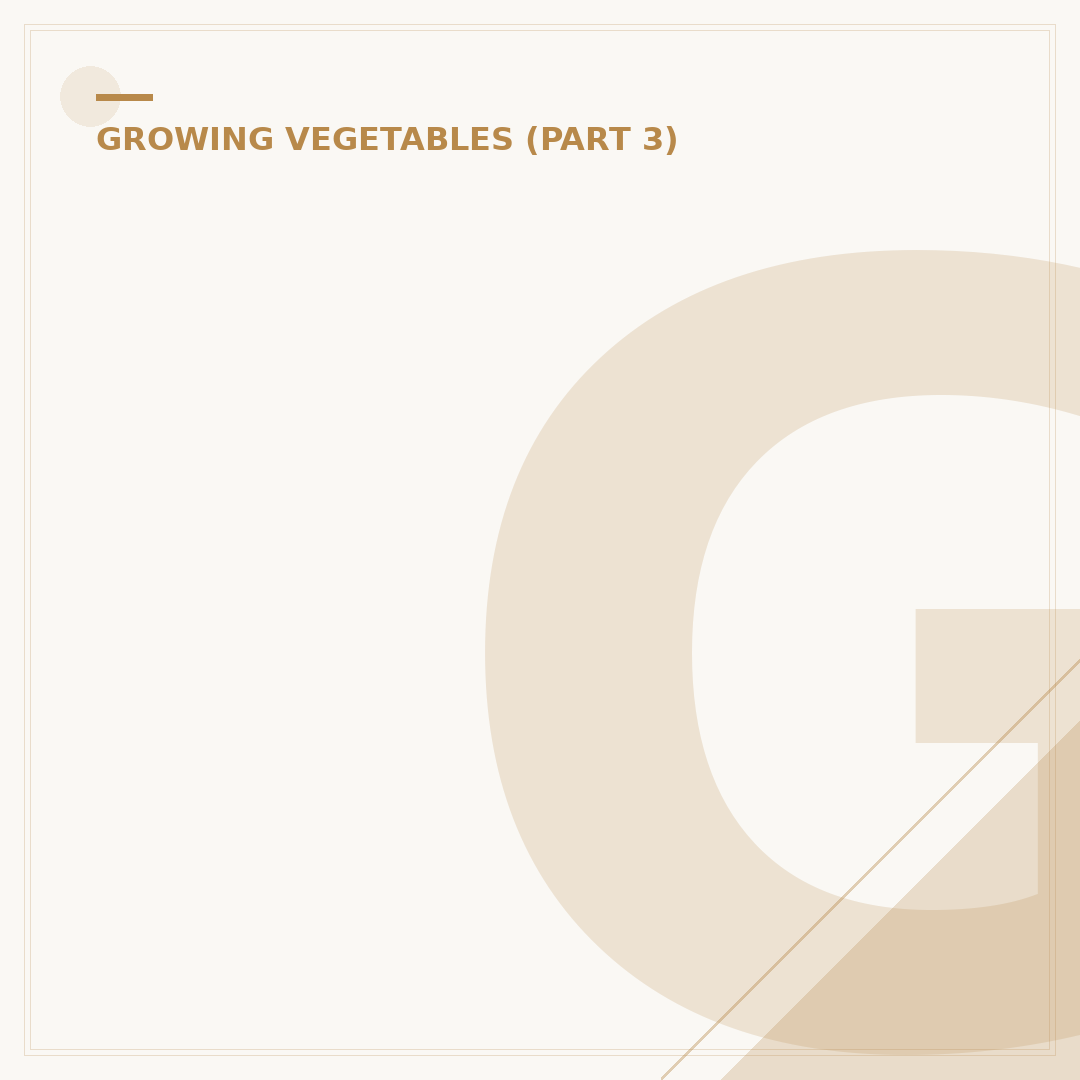 Growing Celery from Seed