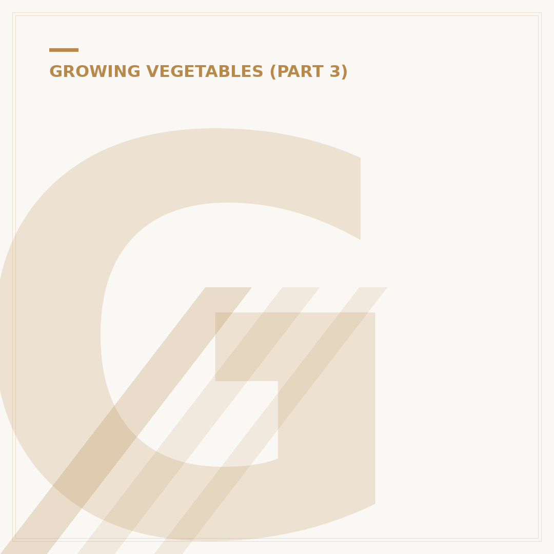 Growing Chayote Squash: Cultivation and Care