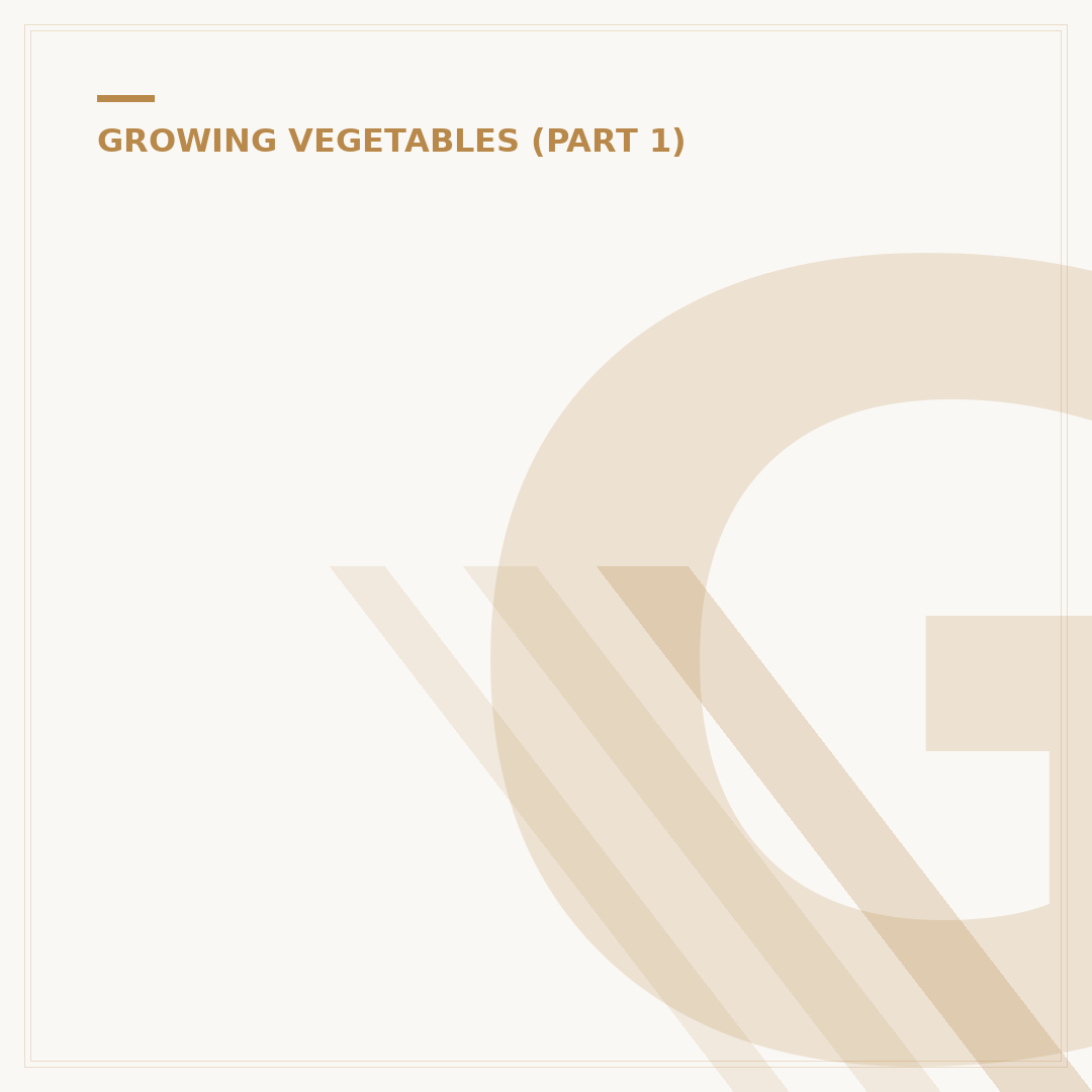 Growing Courgettes in Pots
