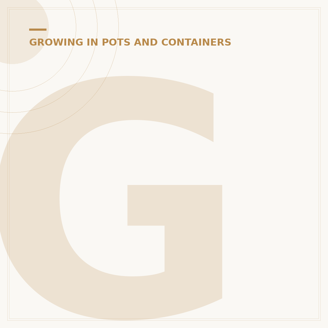 Growing Herbs in Pots