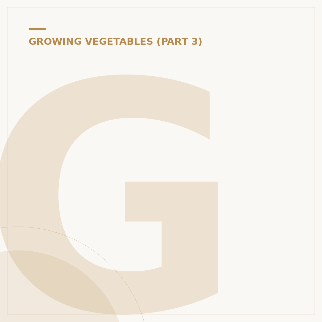Growing Lettuce Seedlings: Expert Tips for Healthy Starts
