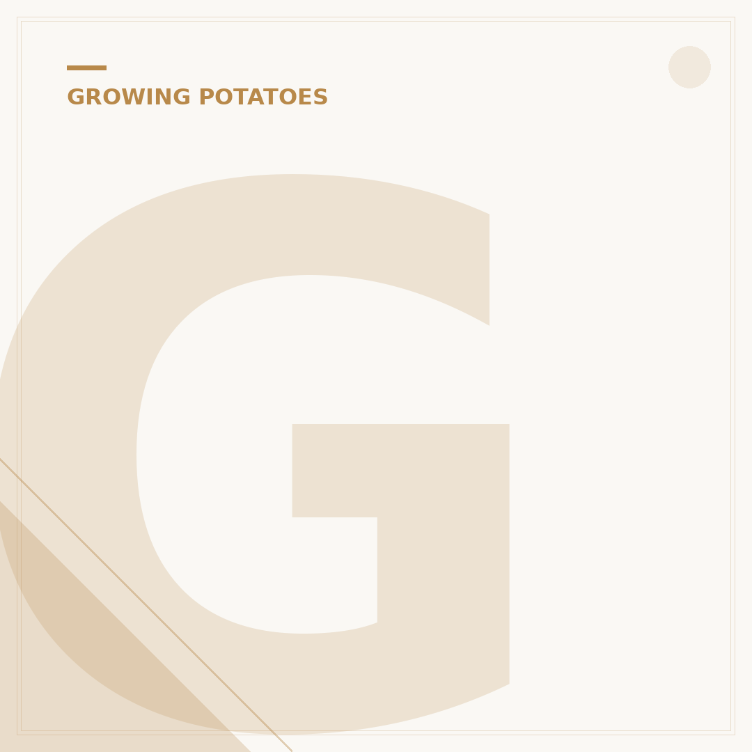 Growing Potatoes in Pots and Containers