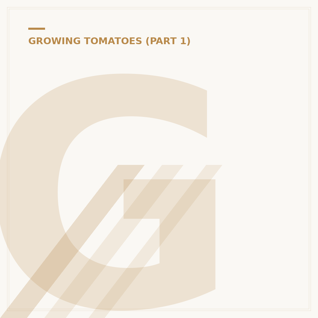 Growing Tomatoes Indoors