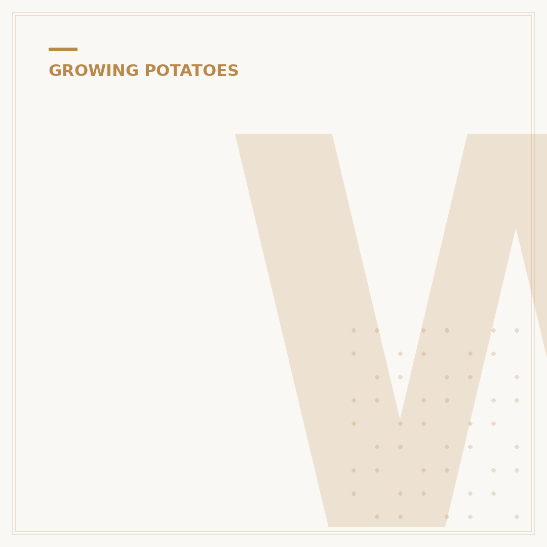 When to Harvest Second Early Potatoes