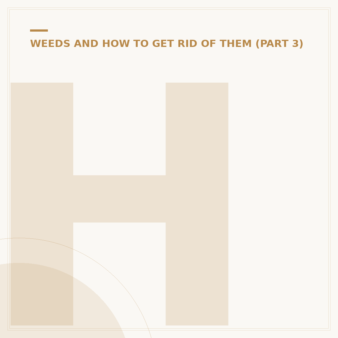Harvest Weeds: Identify, Gather, and Use Edible Plants