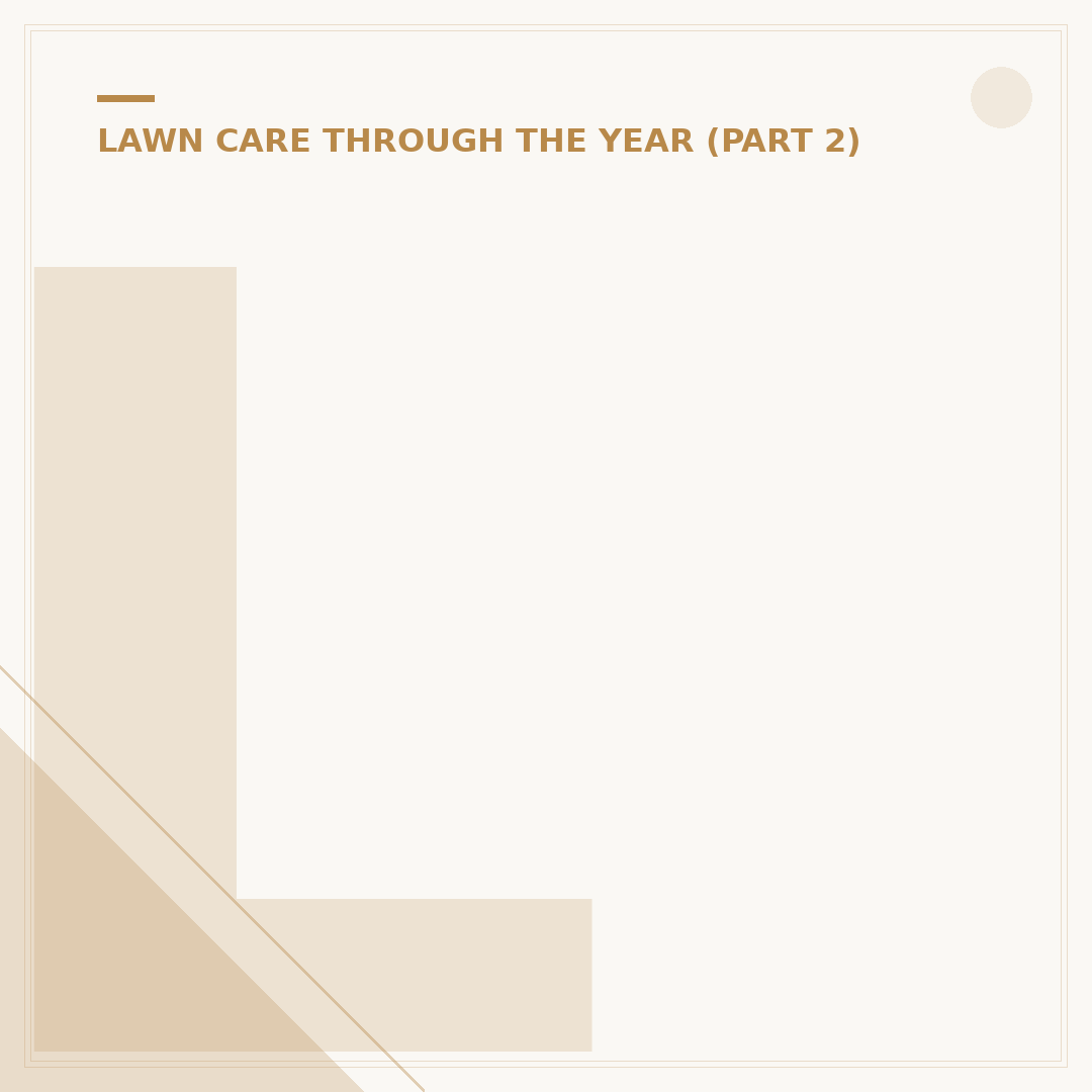 Lawn Fertilizer with High Nitrogen