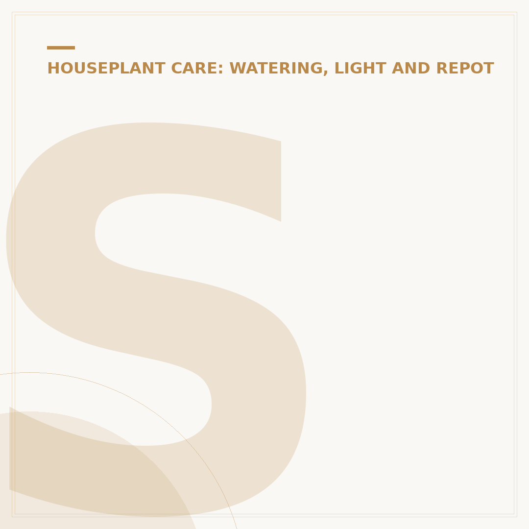 Shade Loving Houseplants: Plants for Low Light Rooms