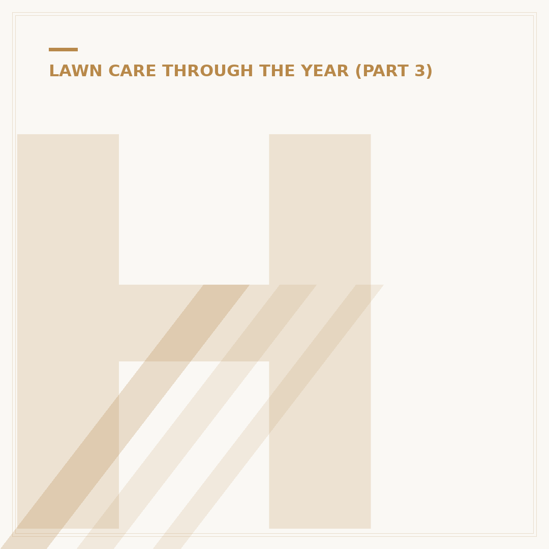 How to Install Synthetic Lawn: A Comprehensive Approach