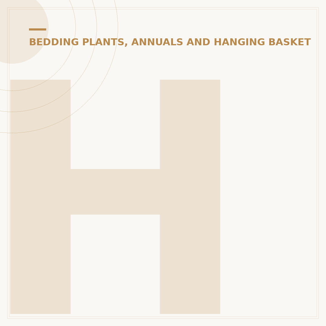 How Long Do Pansies Last? Care & Seasonality