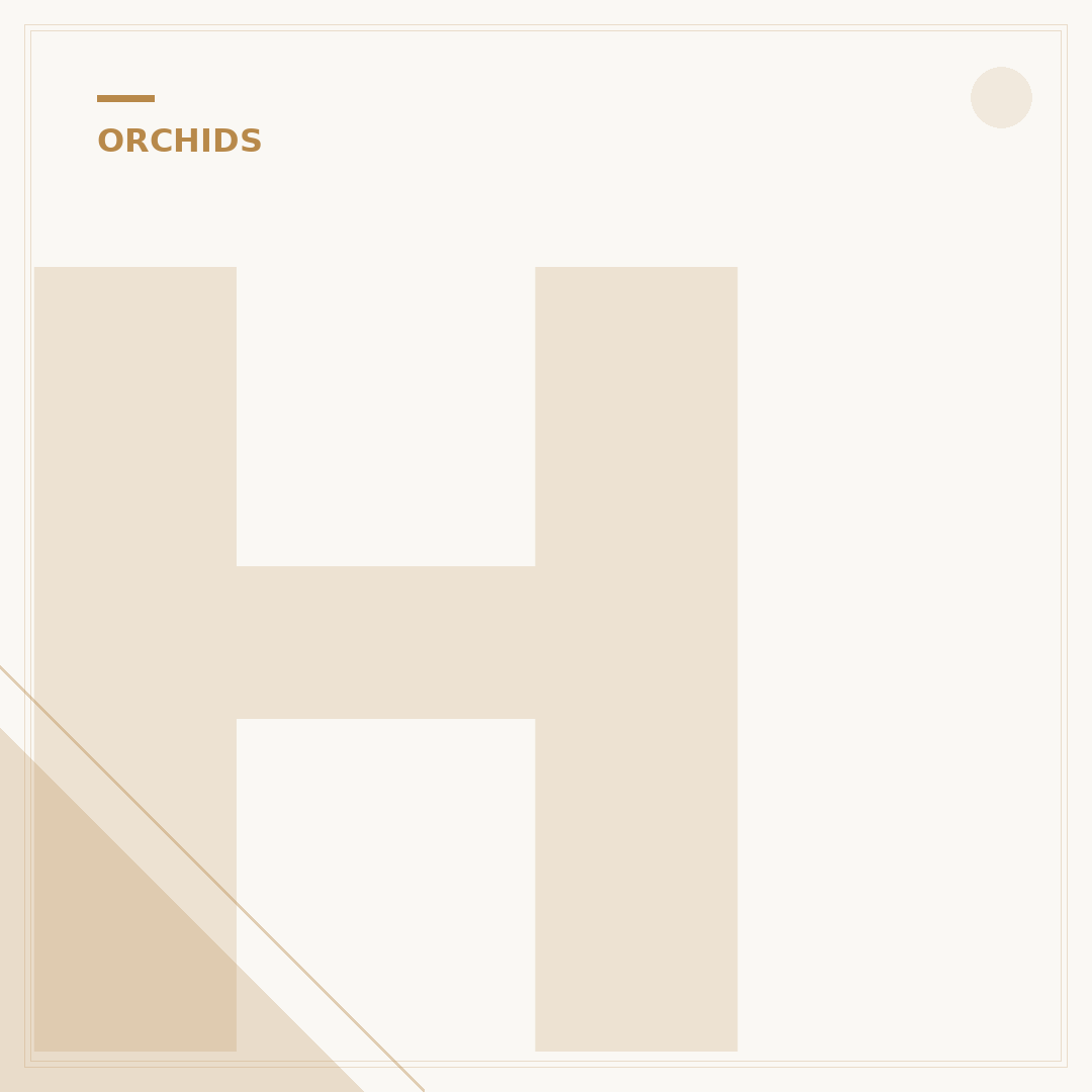 How Often Do Orchids Bloom?