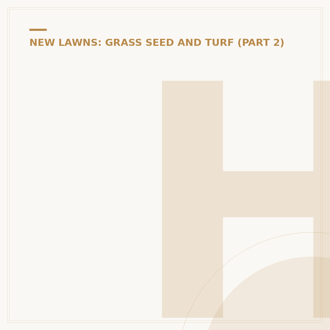 How Often to Water New Grass Seed