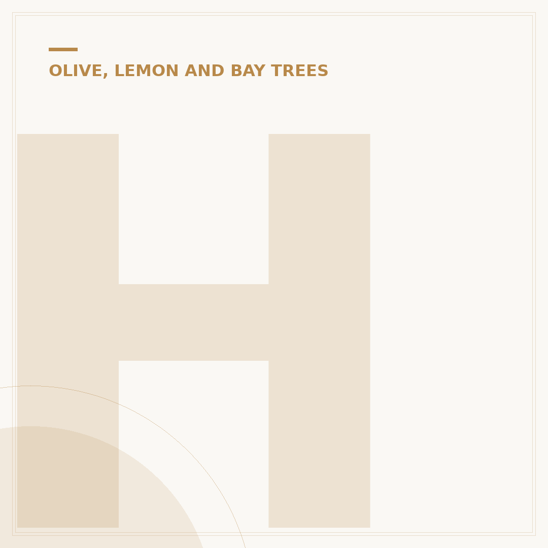 How Old Do Olive Trees Live? Lifespan Explained