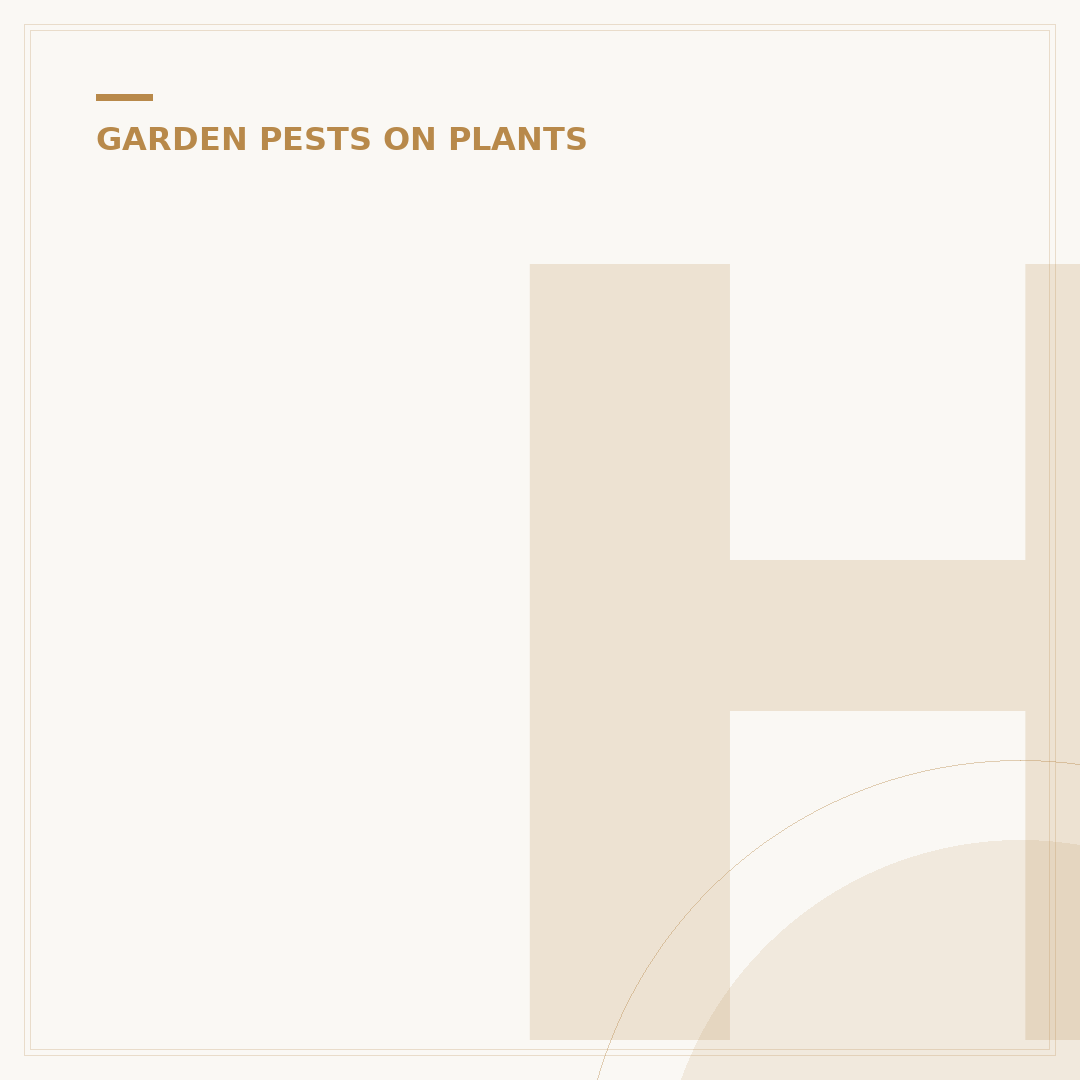 How to Get Rid of Aphids Naturally: Plant-Friendly Solutions