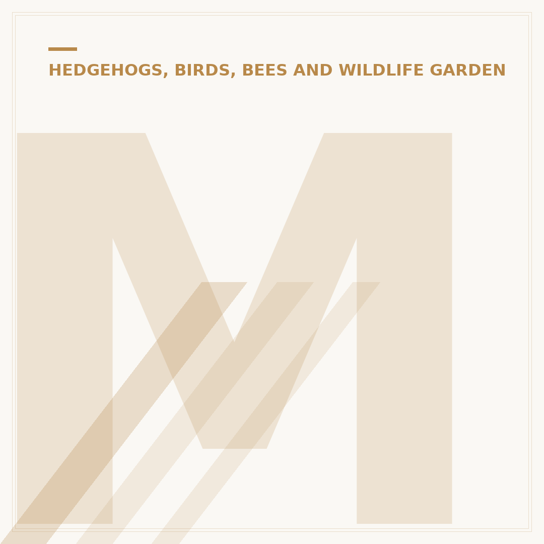 Make a Bird Feeder: Garden Projects for Wildlife