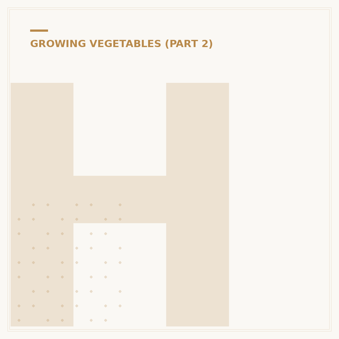 How to Plant Lettuce Seeds