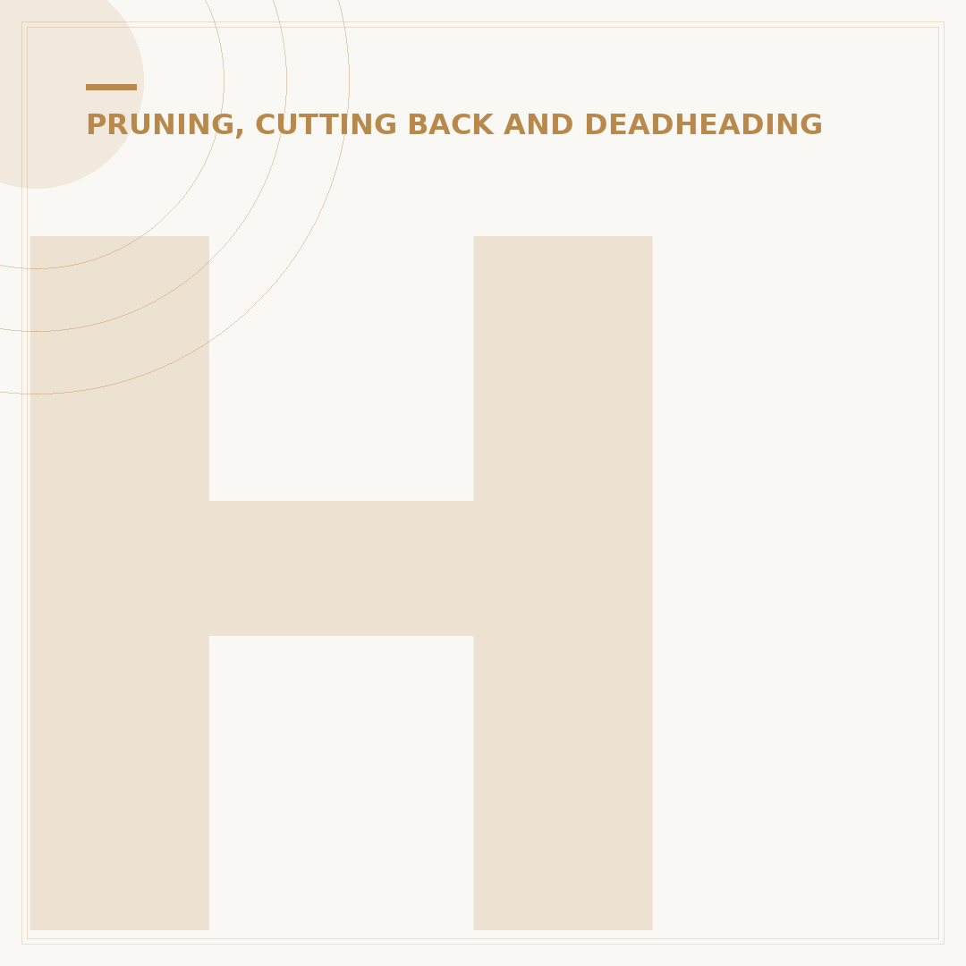 How to Make a Prune