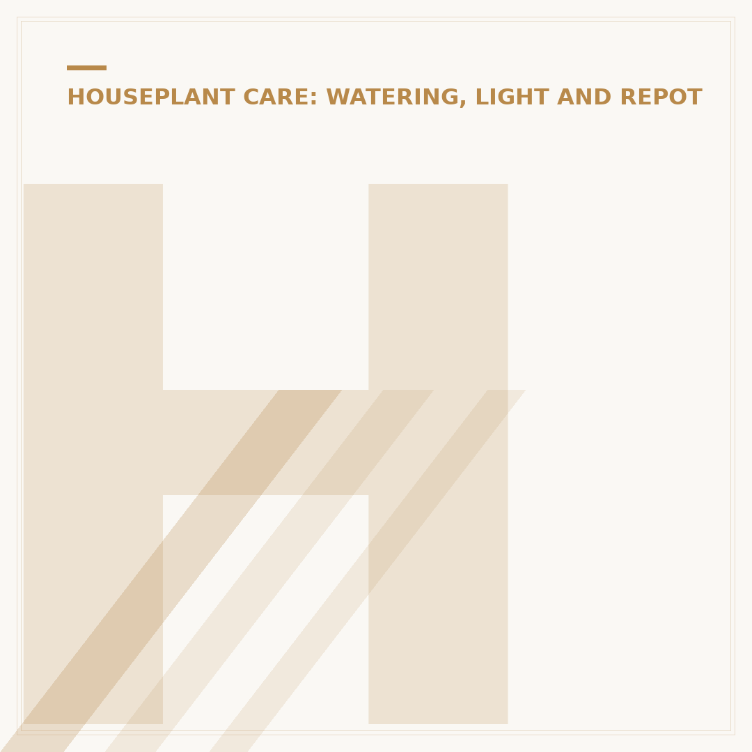 How to Water Houseplants