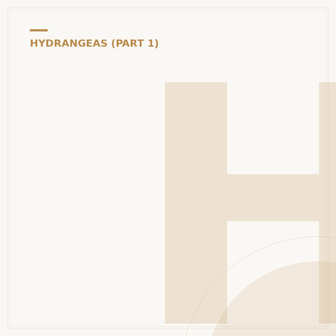 Hydrangea Limelight: Care, Pruning, and Common Issues