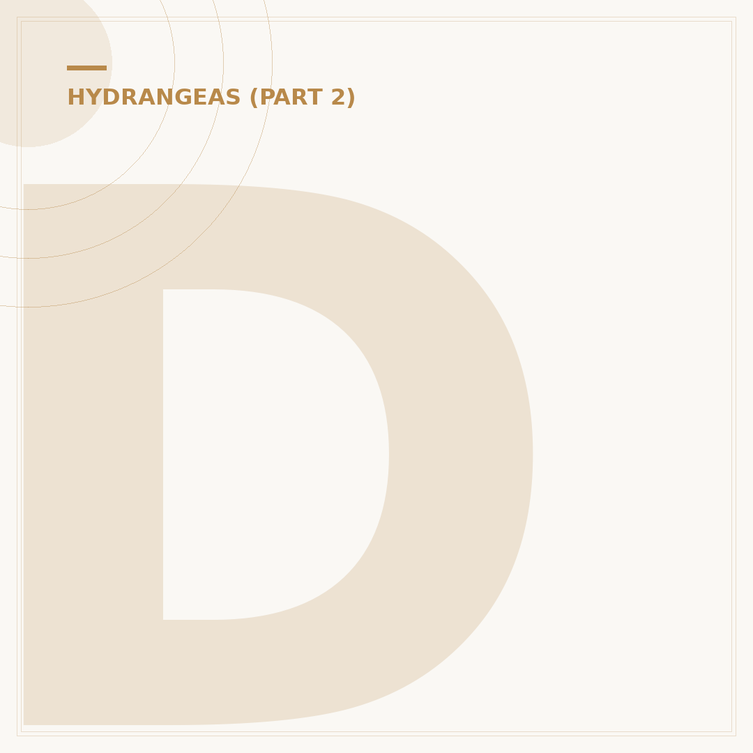 Do Hydrangea Plants Come Back Every Year?