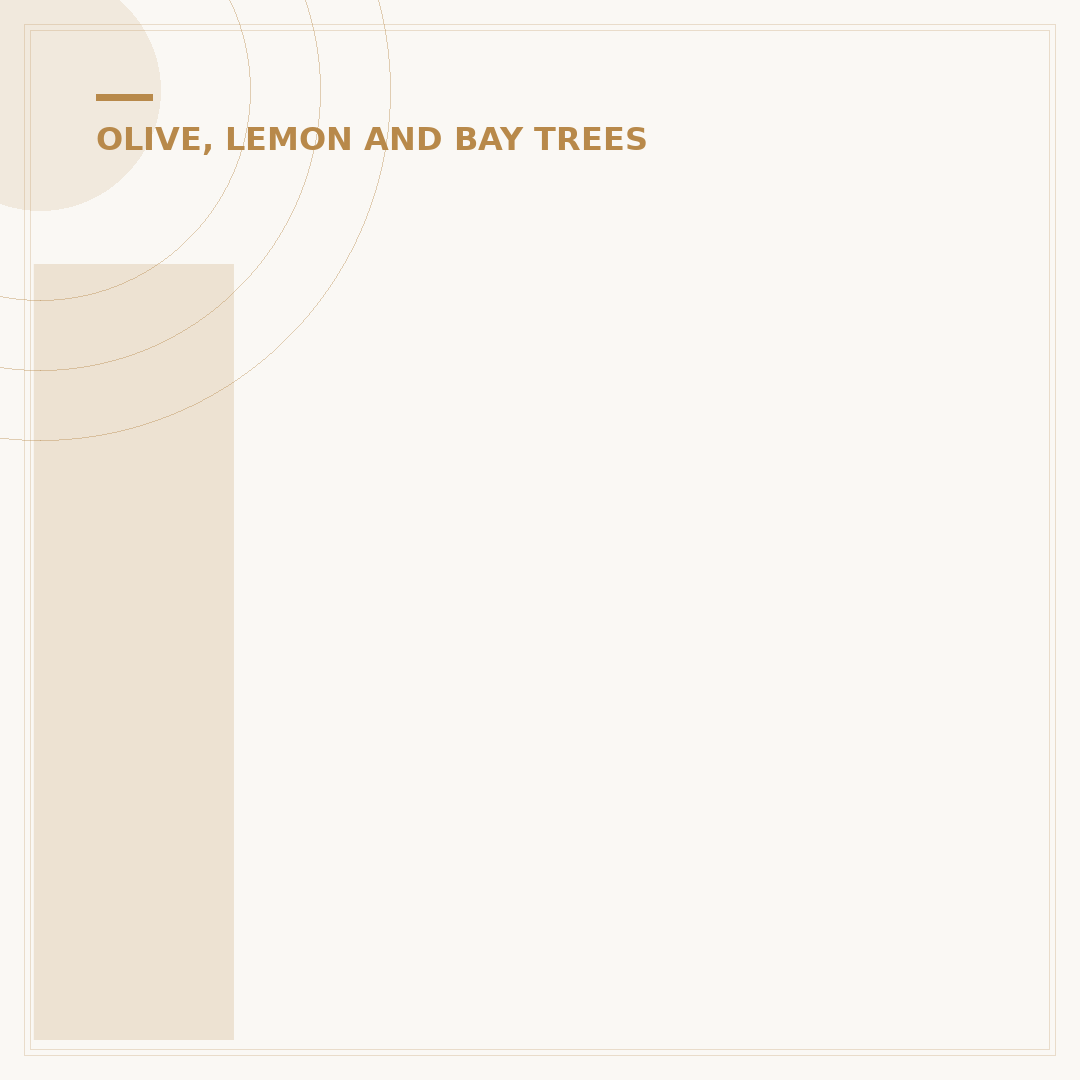 Indoor Lemon Tree Care