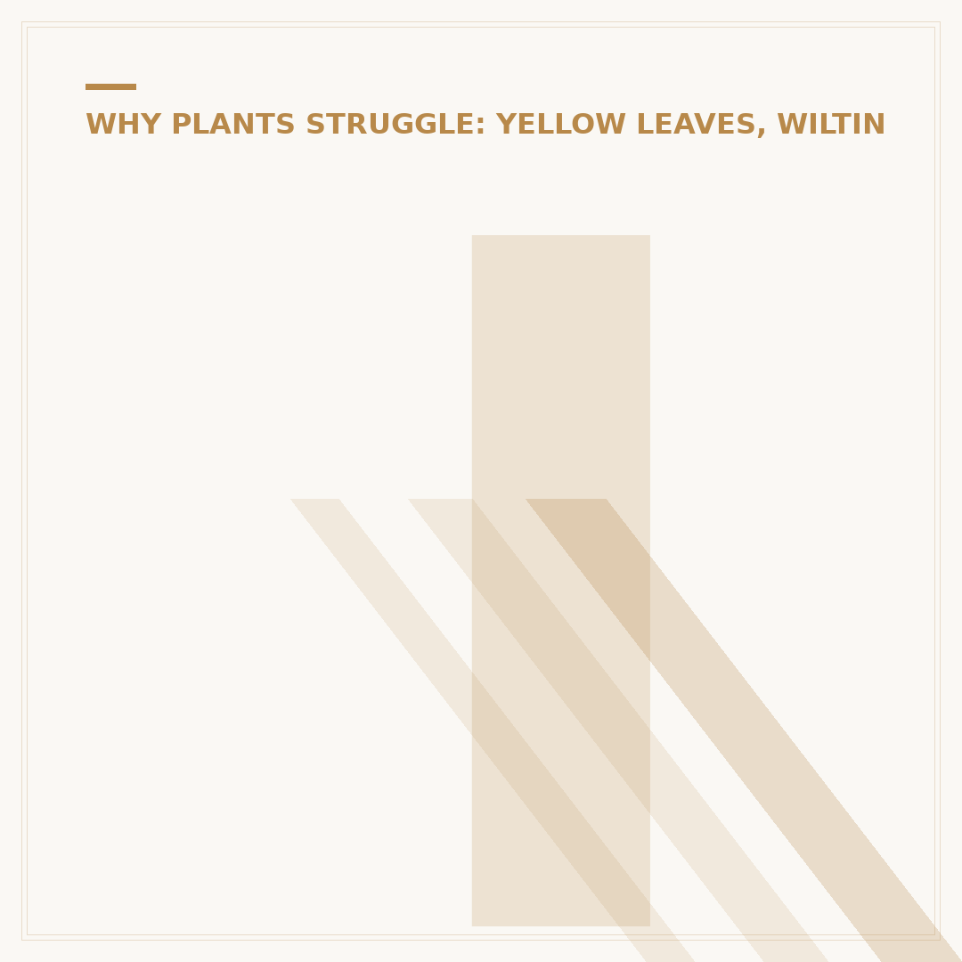 Indoor Plant Leaves Turning Yellow: Causes and Solutions