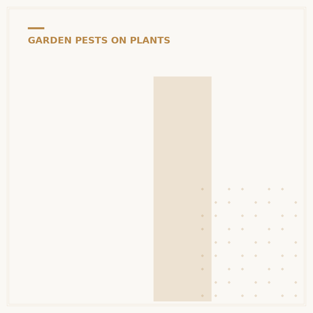 Identify and Treat Indoor Plant Pests