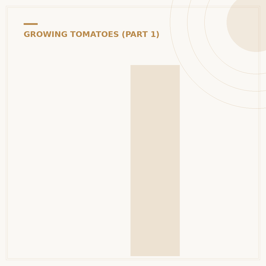 Italian Tomato Feed: What It Is and Why Your Plants Need It