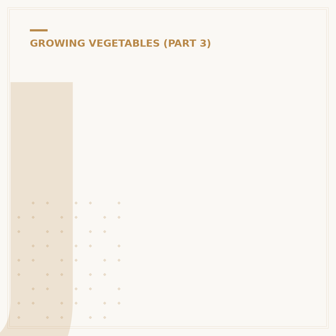 Jalapeno Chillies Growing: Cultivation Advice