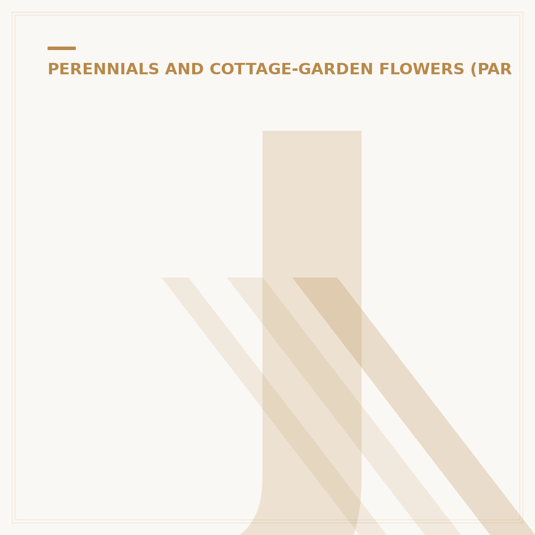 Japanese Anemones in Pots
