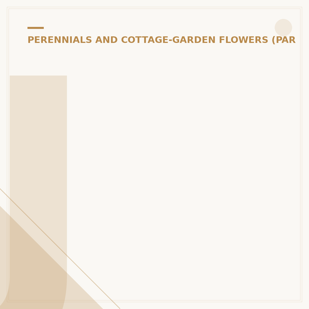 Japanese Anemone