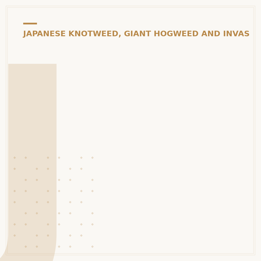 Japanese Knotweed Compensation: Your Options Explained