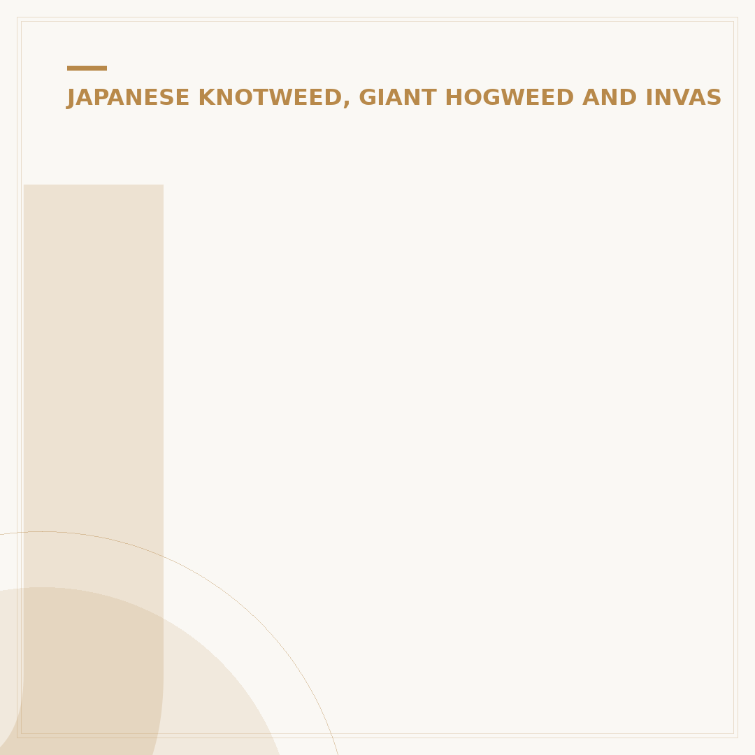 Japanise Knotweed