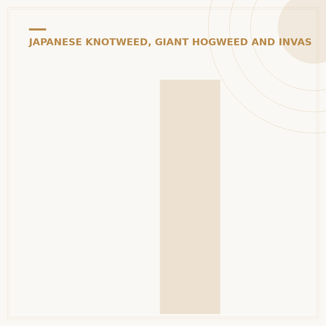 Is Japanese Knotweed Dangerous? Risks & Identification