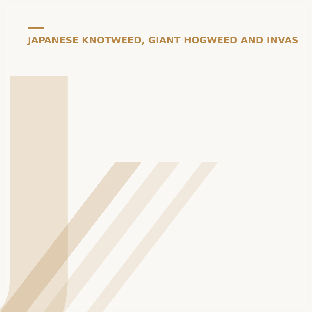 Japanese Knotweed Disposal Options
