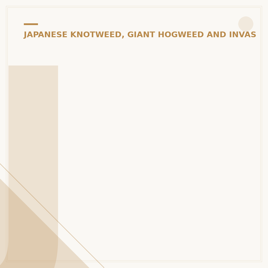 Japanese Knotweed Eradication Ltd: Your Options Explained
