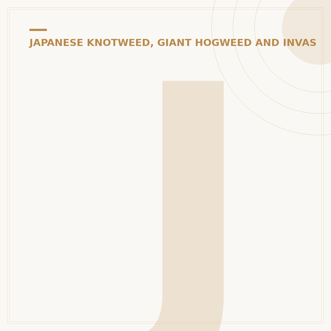 Japnese Knotweed