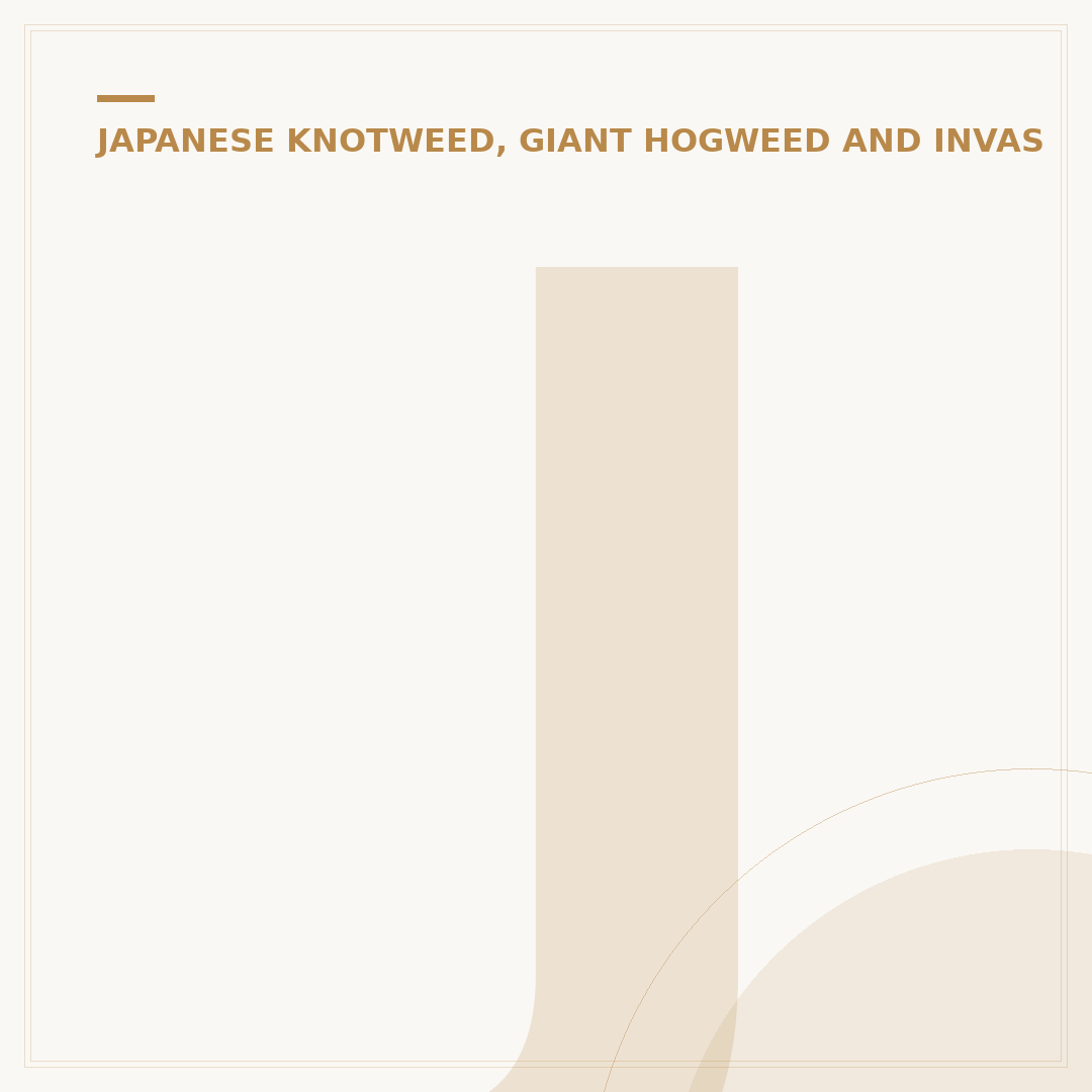 Japanease Knotweed