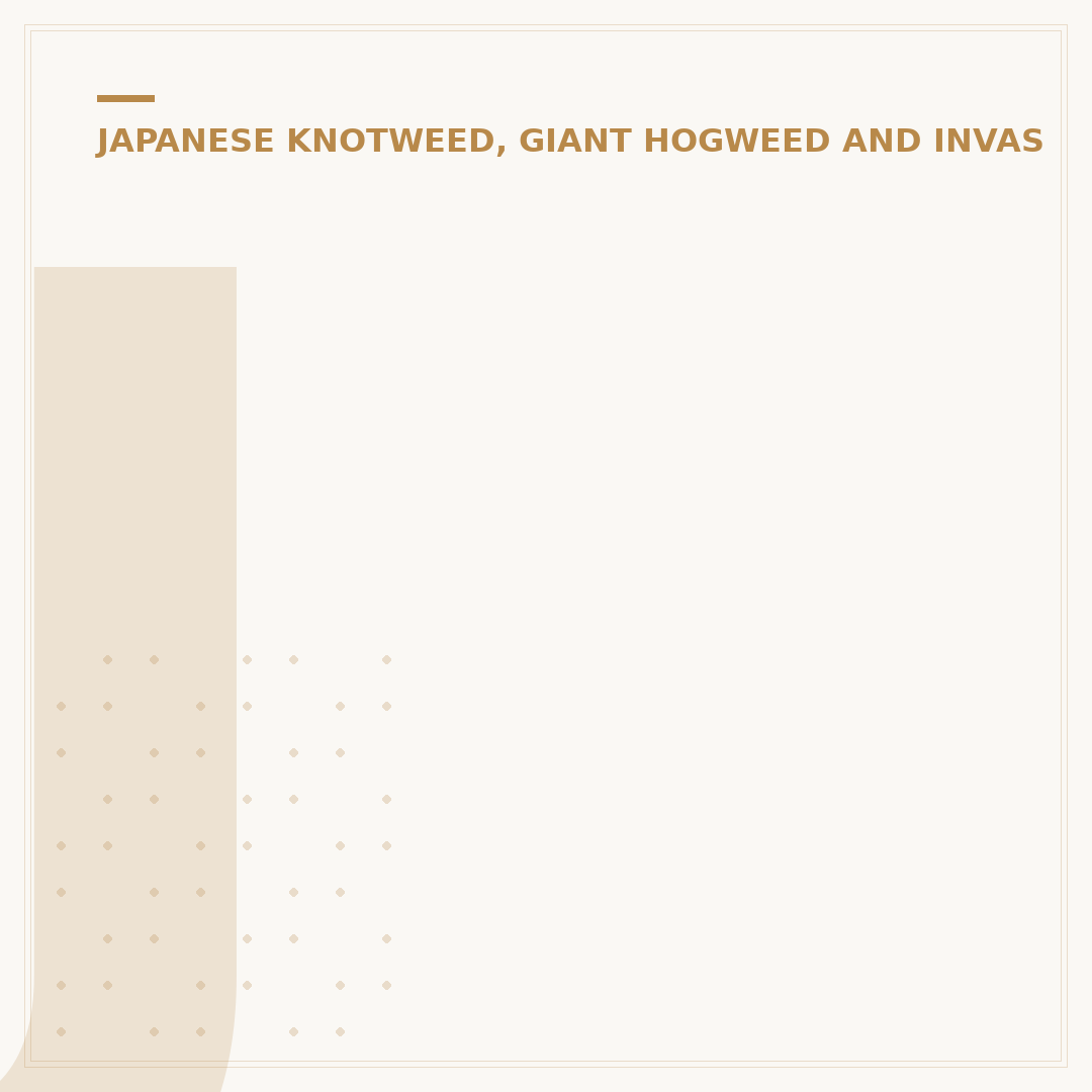 Japanese Knotweed Removal Contractors: What to Look For