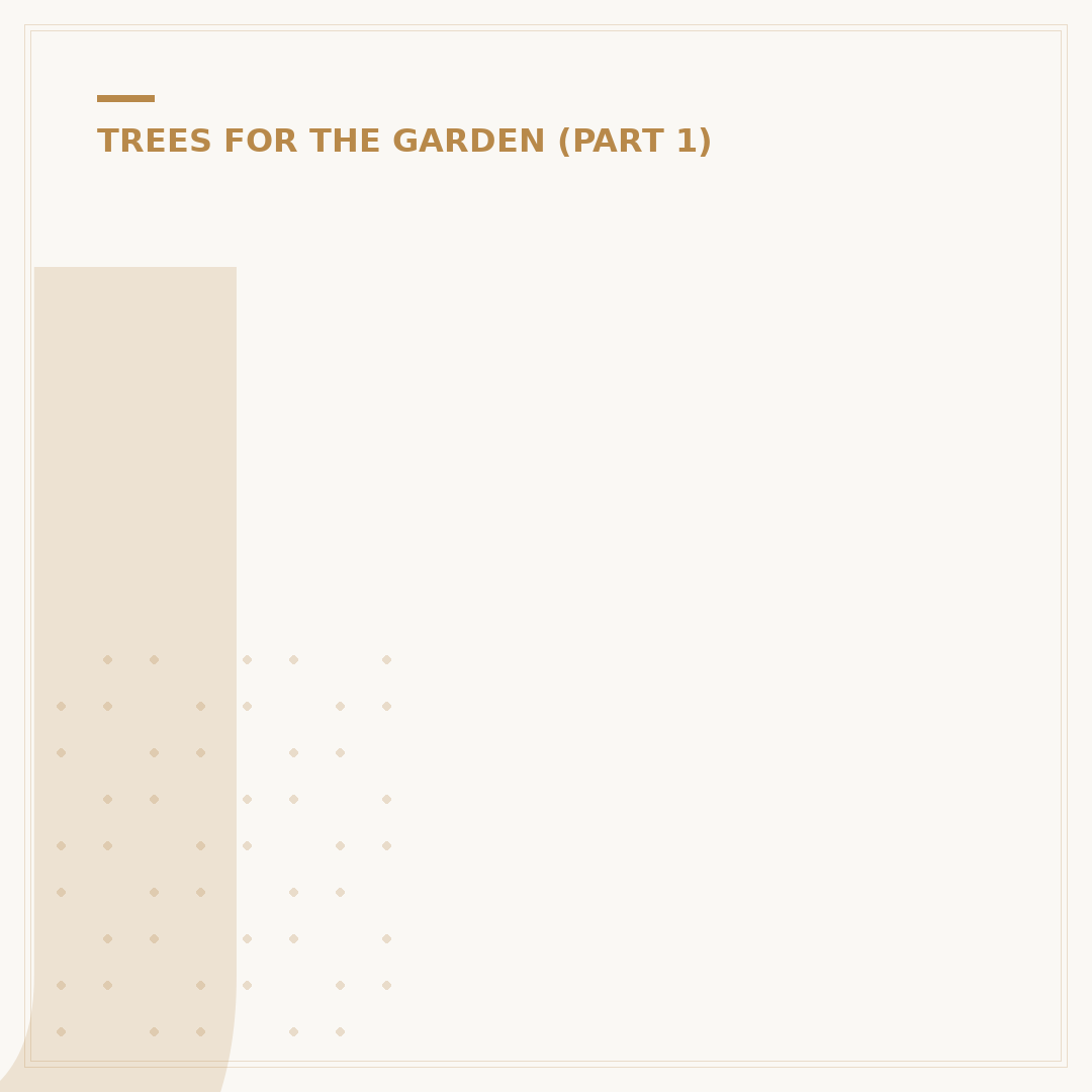 Japanese Maple Bonsai: Care, Varieties, and Styling