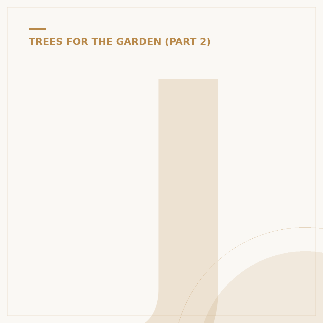 Japanese Maple Leaves Turning Brown: Causes & Solutions