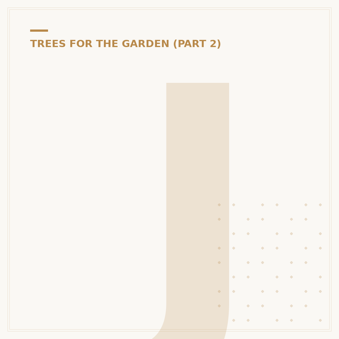 Japanese Maple Palmatum Varieties: Garden Cultivars