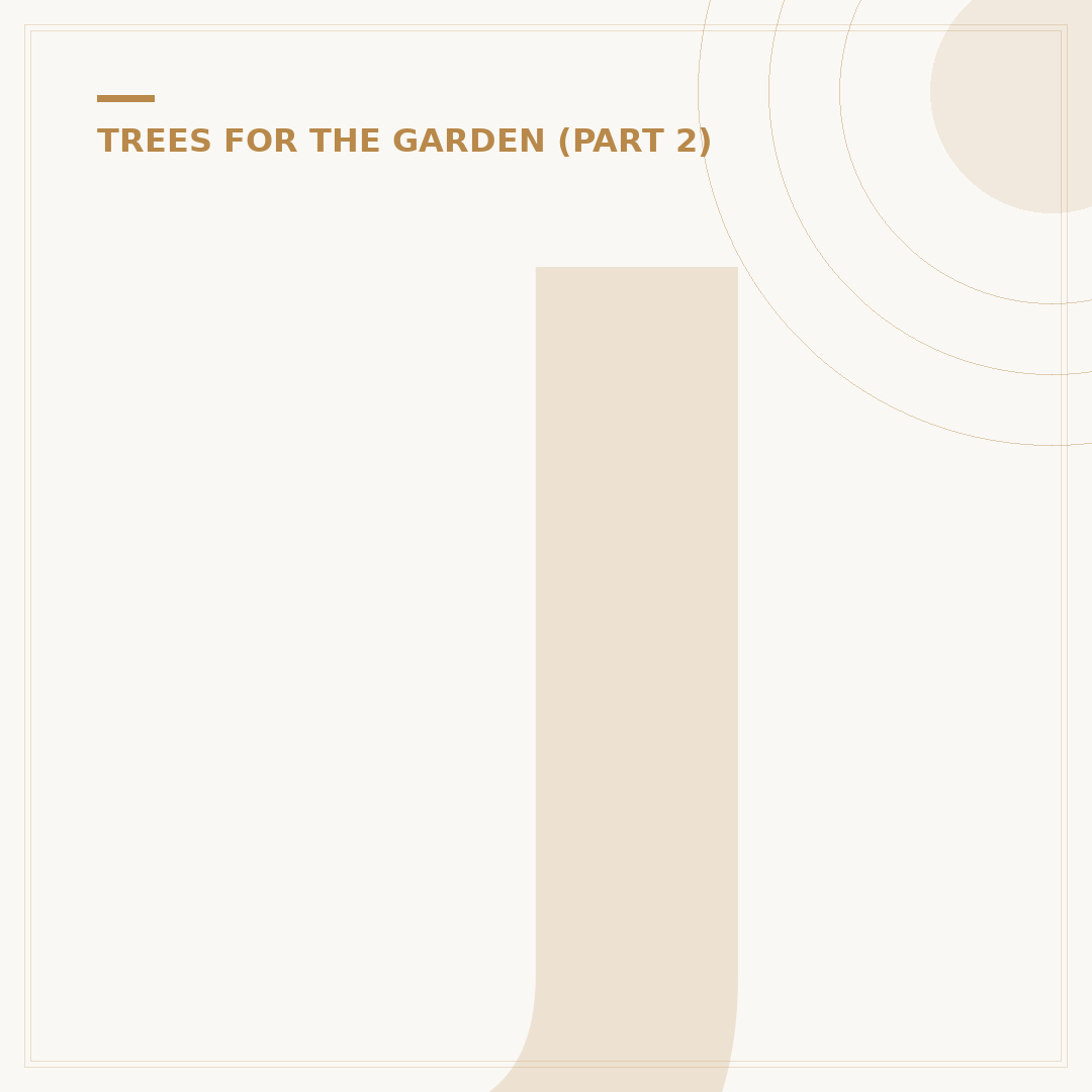 Japanese Maple Varieties
