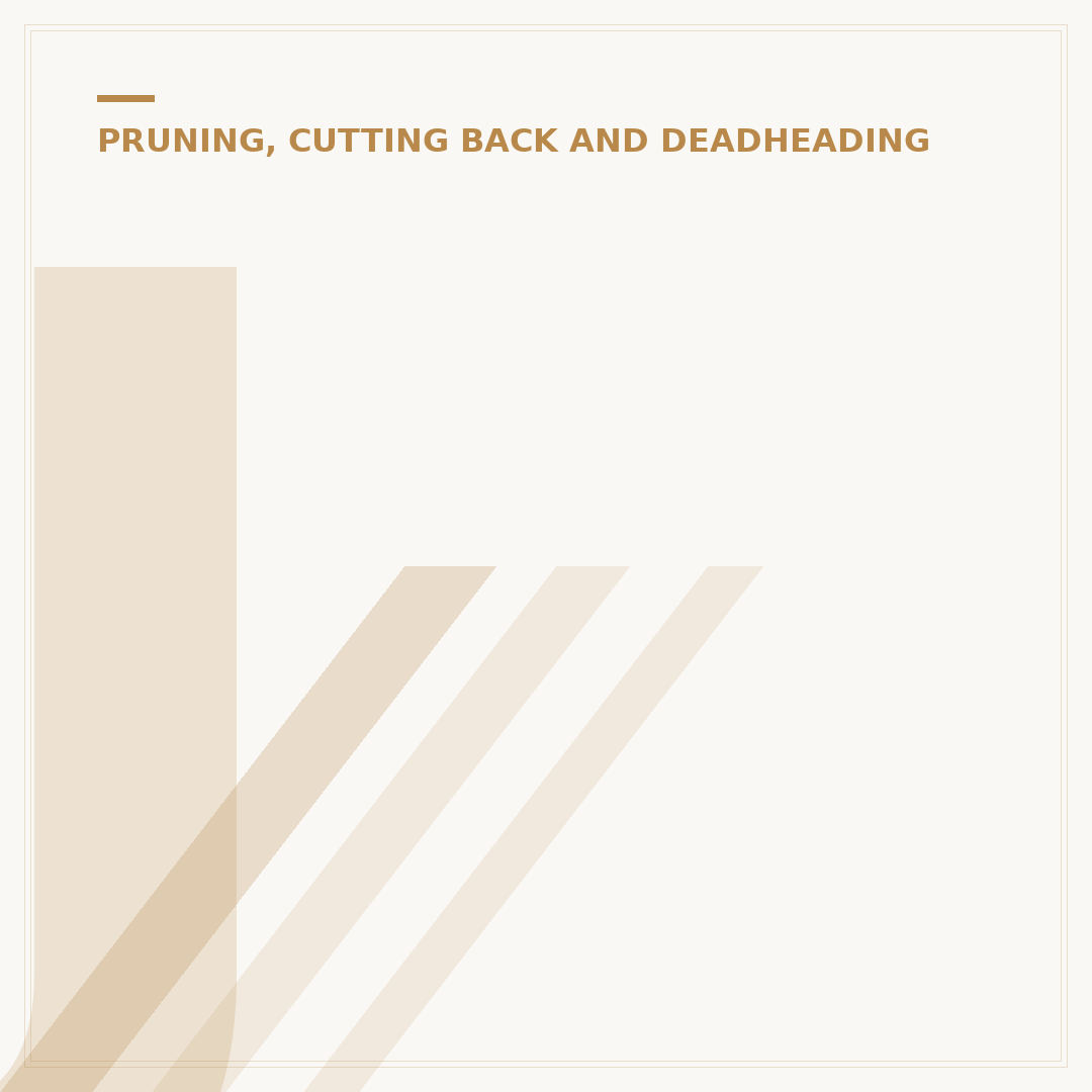 Japonica Plant Pruning Techniques for Healthier Growth