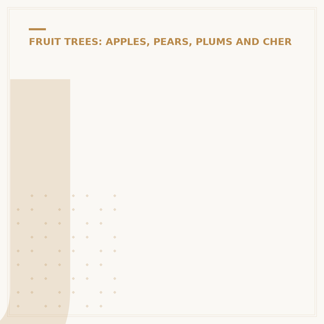 Jesus Curses the Fig Tree: Meaning and Lessons