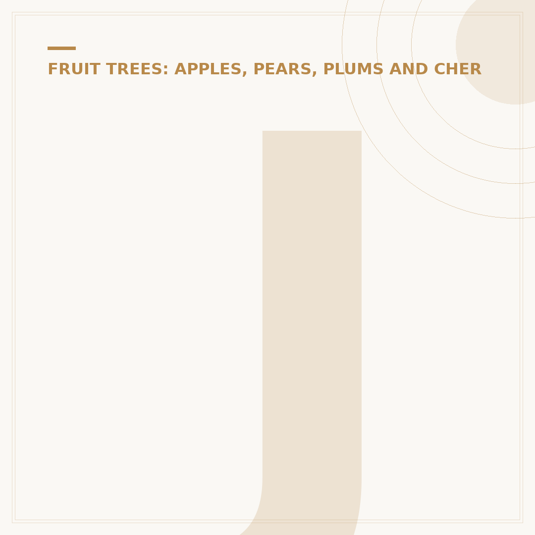 Jesus and the Fig Tree: Meaning and Lessons