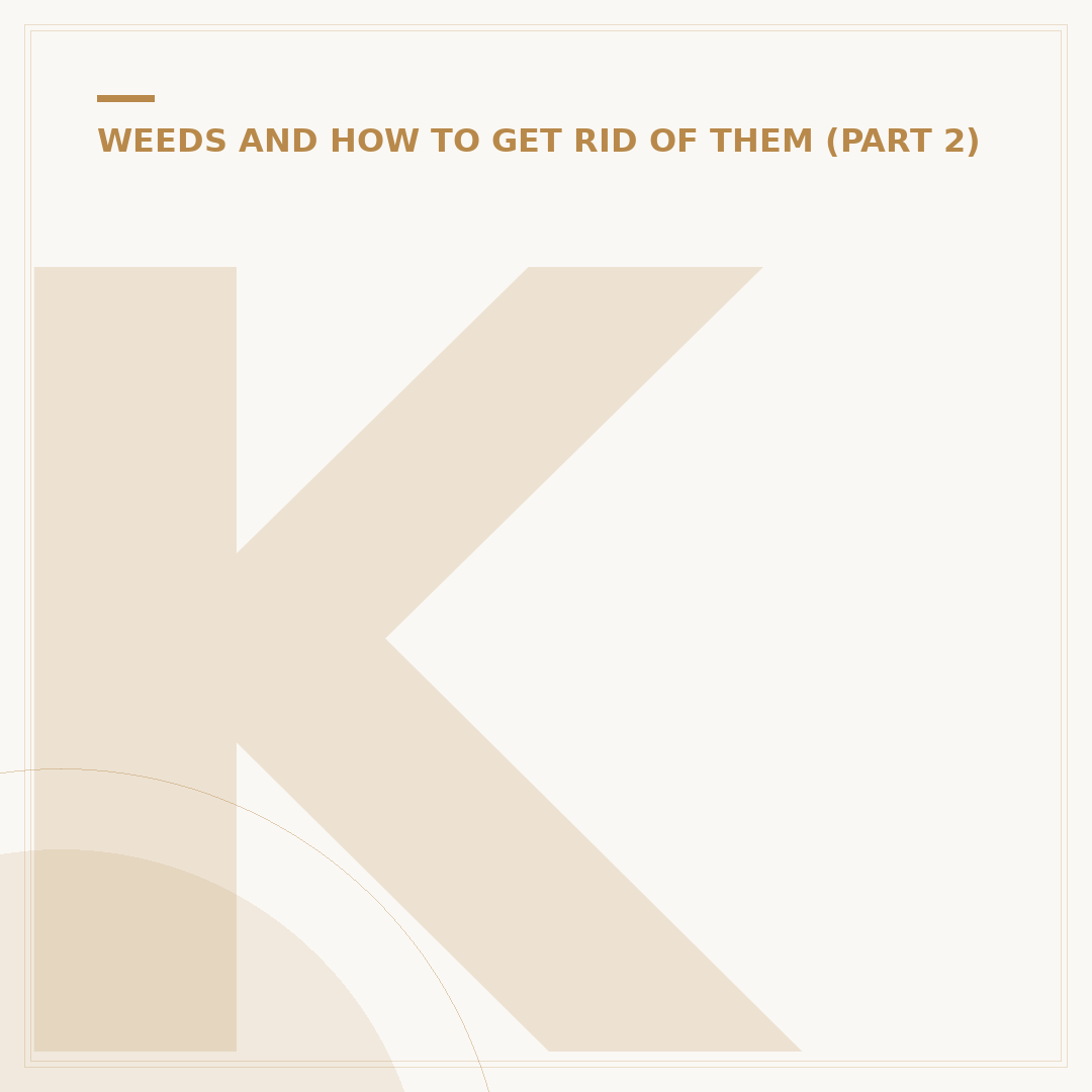 Katie Weeds Mickleover: What You Need to Know